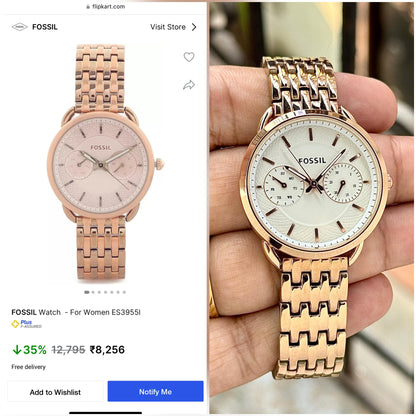 FOSSIL~ES3713